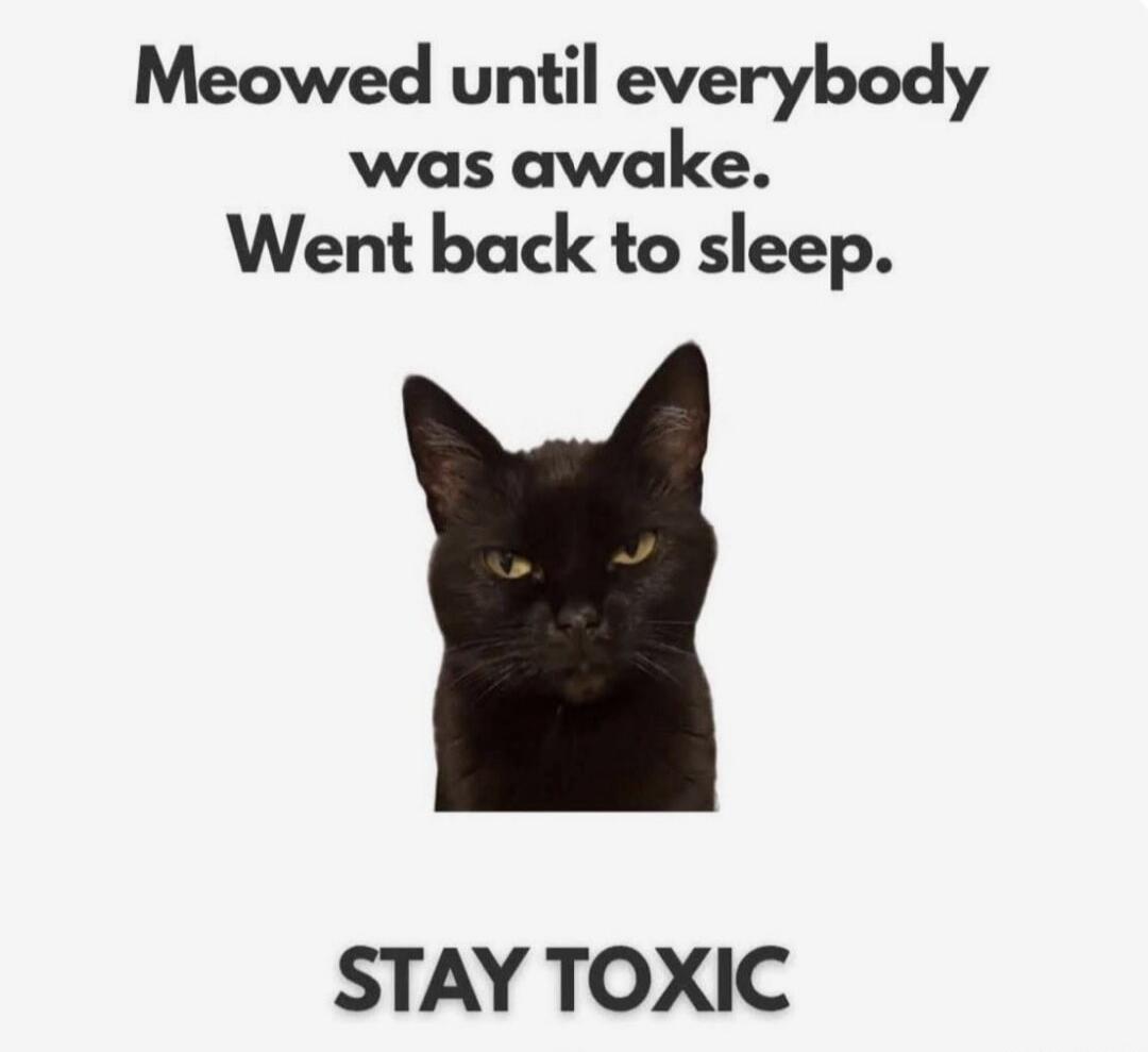 Meowed until everybody was awake. Went back to sleep. STAY TOXIC