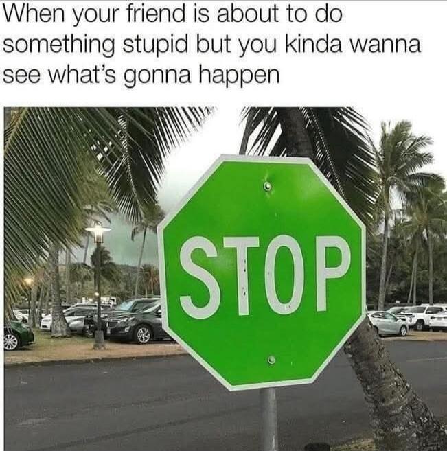 When your friend is about to do something stupid but you kinda wanna see what's gonna happen. STOP