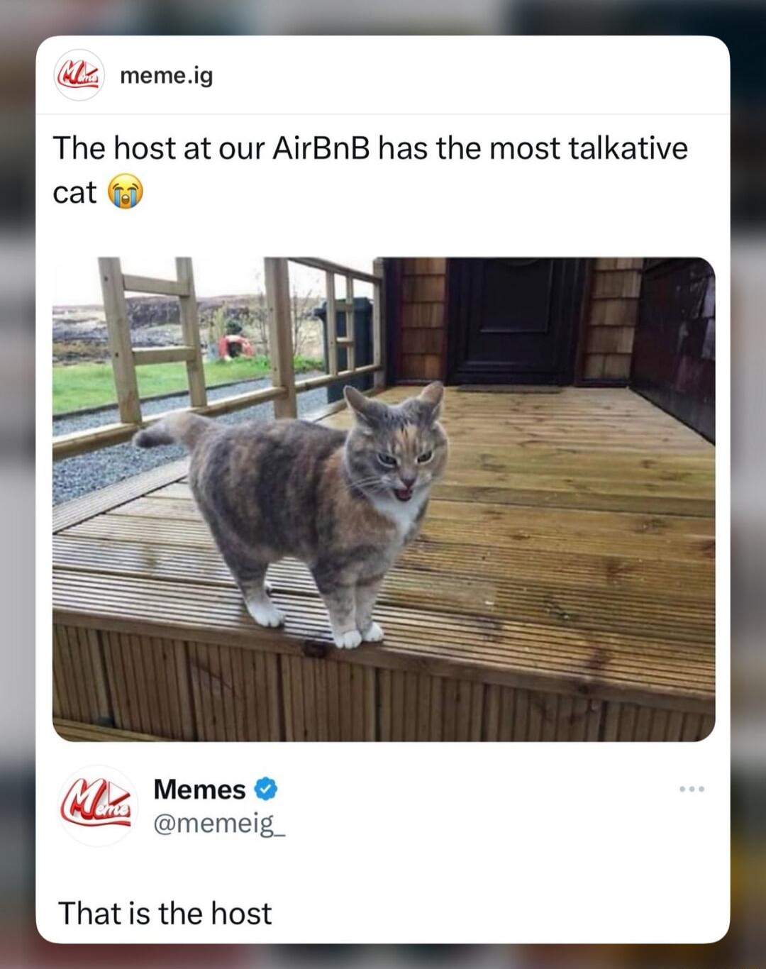 memeig The host at our AirBnB has the most talkative Memes memeig_ That s the host