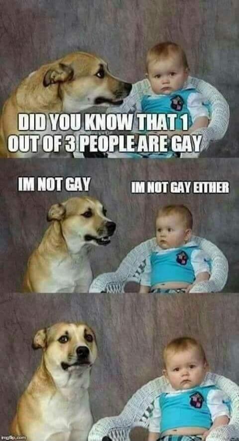 DID YOU KNOW THAT 1 OUT OF 3 PEOPLE ARE GAY. IM NOT GAY. IM NOT GAY EITHER.
