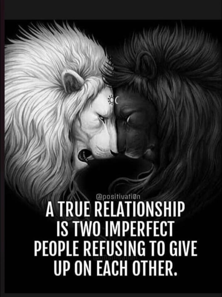 A TRUE RELATIONSHIP IS TWO IMPERFECT PEOPLE REFUSING TO GIVE UP ON EACH OTHER. @positivation