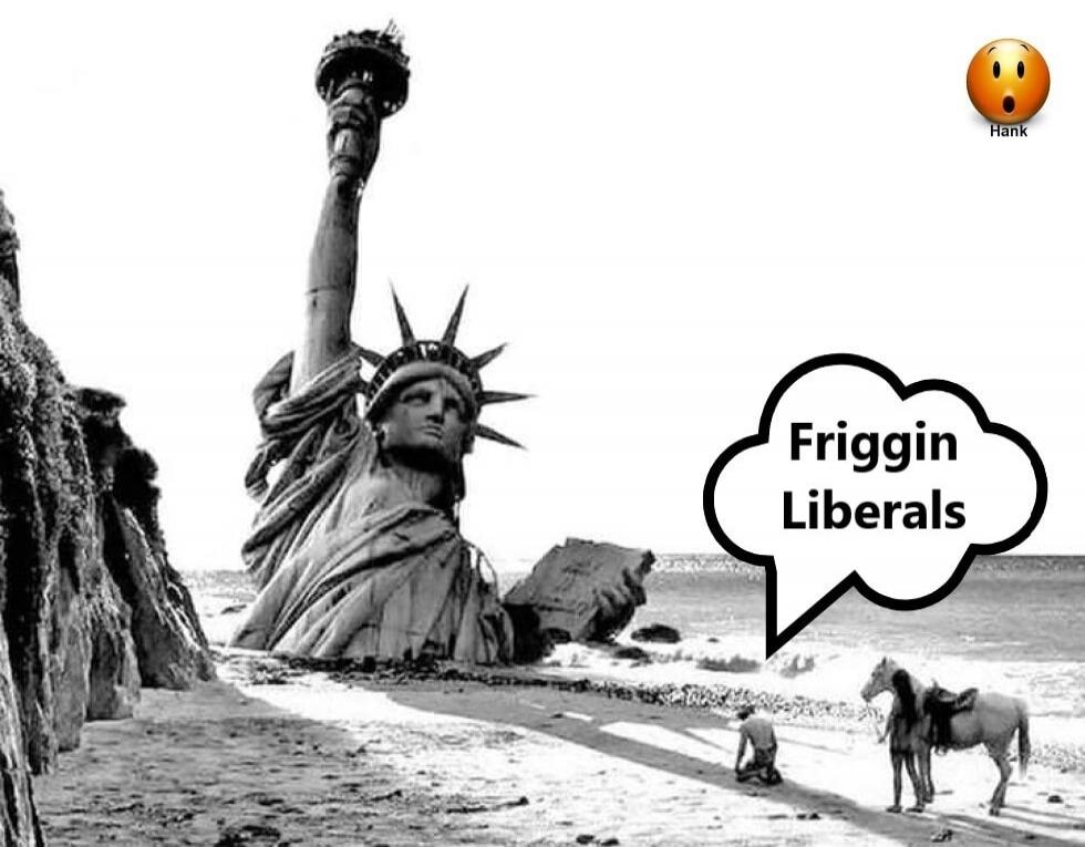 Friggin Liberals Hank