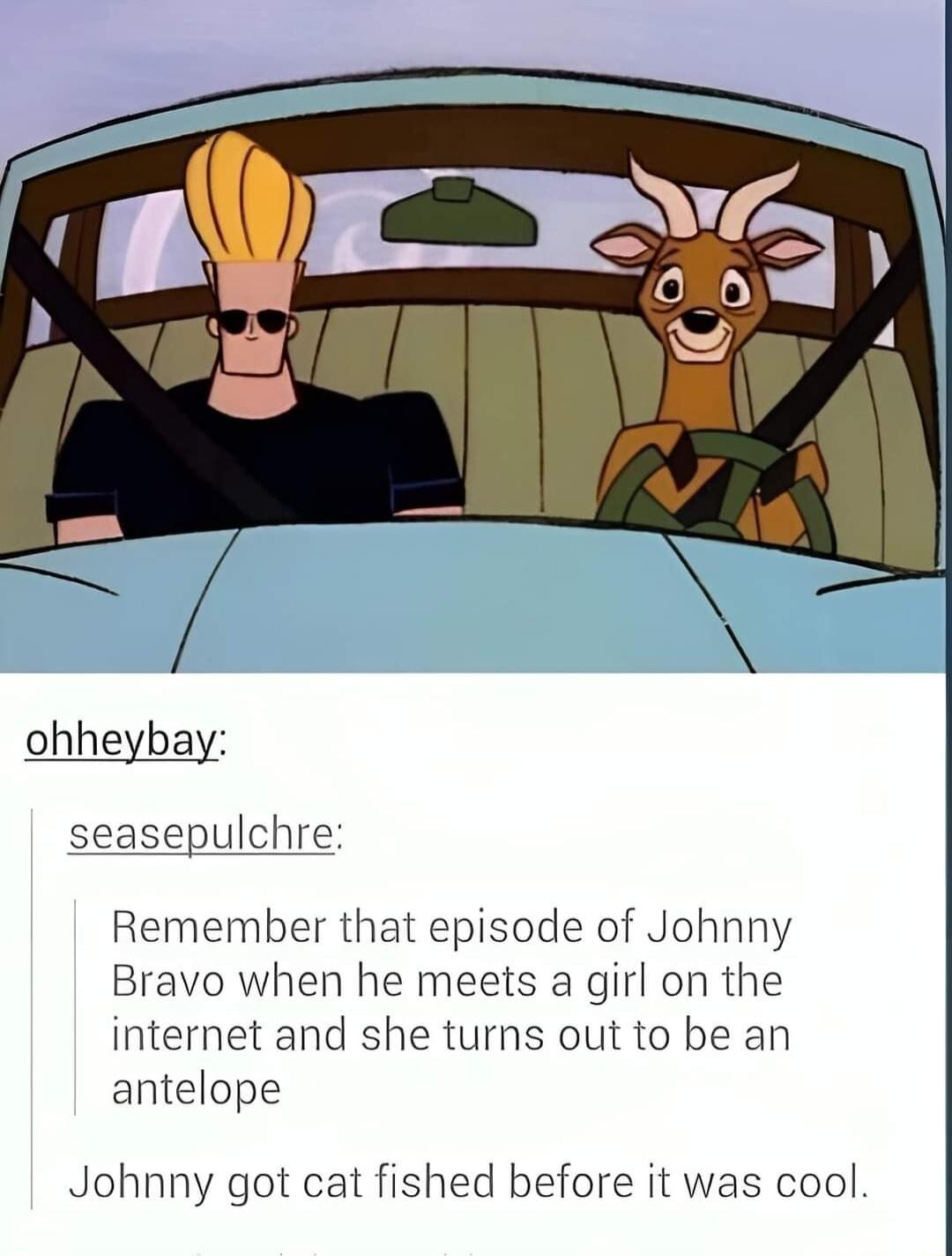 ohheybay seasepulchre Remember that episode of Johnny Bravo when he meets a girl on the internet and she turns out to be an antelope Johnny got cat fished before it was cool