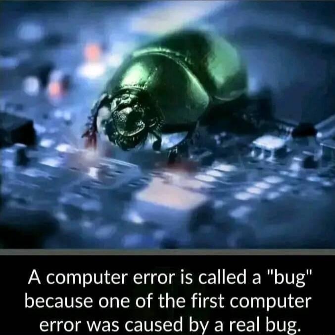 A computer error is called a bug because one of the first computer error was caused by a real bug