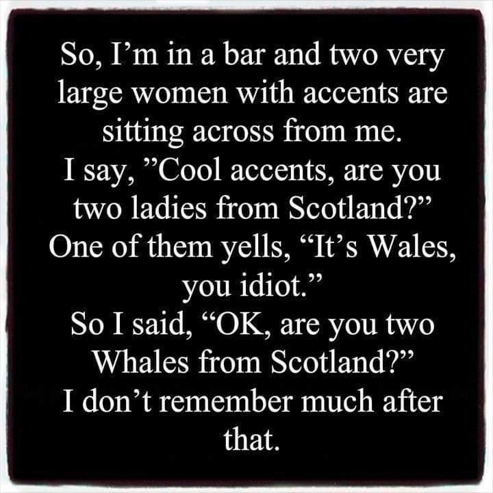 So Im in a bar and two very large women with accents are sitting across from me I say Cool accents are you two ladies from Scotland One of them yells Its Wales you idiot So I said OK are you two Whales from Scotland I dont remember much after that
