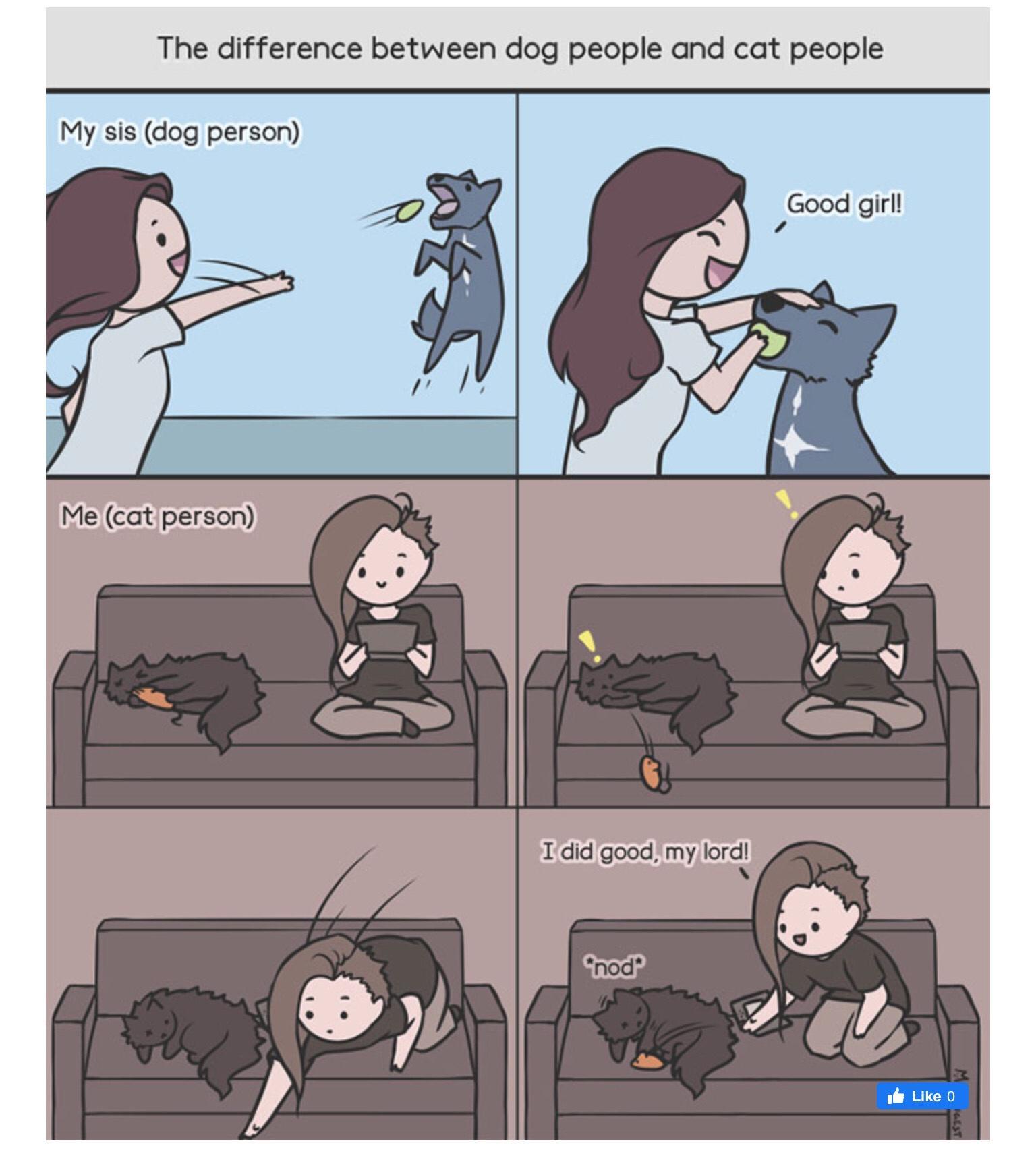 The difference between dog people and cat people My sis dog person Me catperson N Idid good my lord