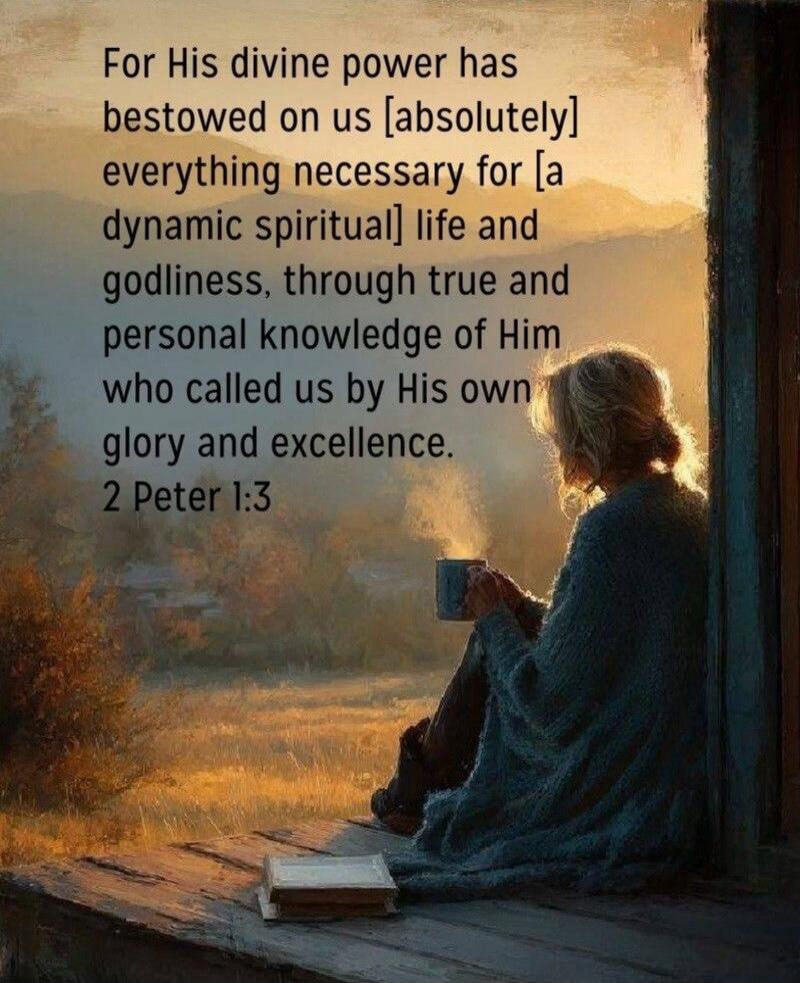 For His divine power has bestowed on us [absolutely] everything necessary for [a dynamic spiritual] life and godliness, through true and personal knowledge of Him who called us by His own glory and excellence. 2 Peter 1:3