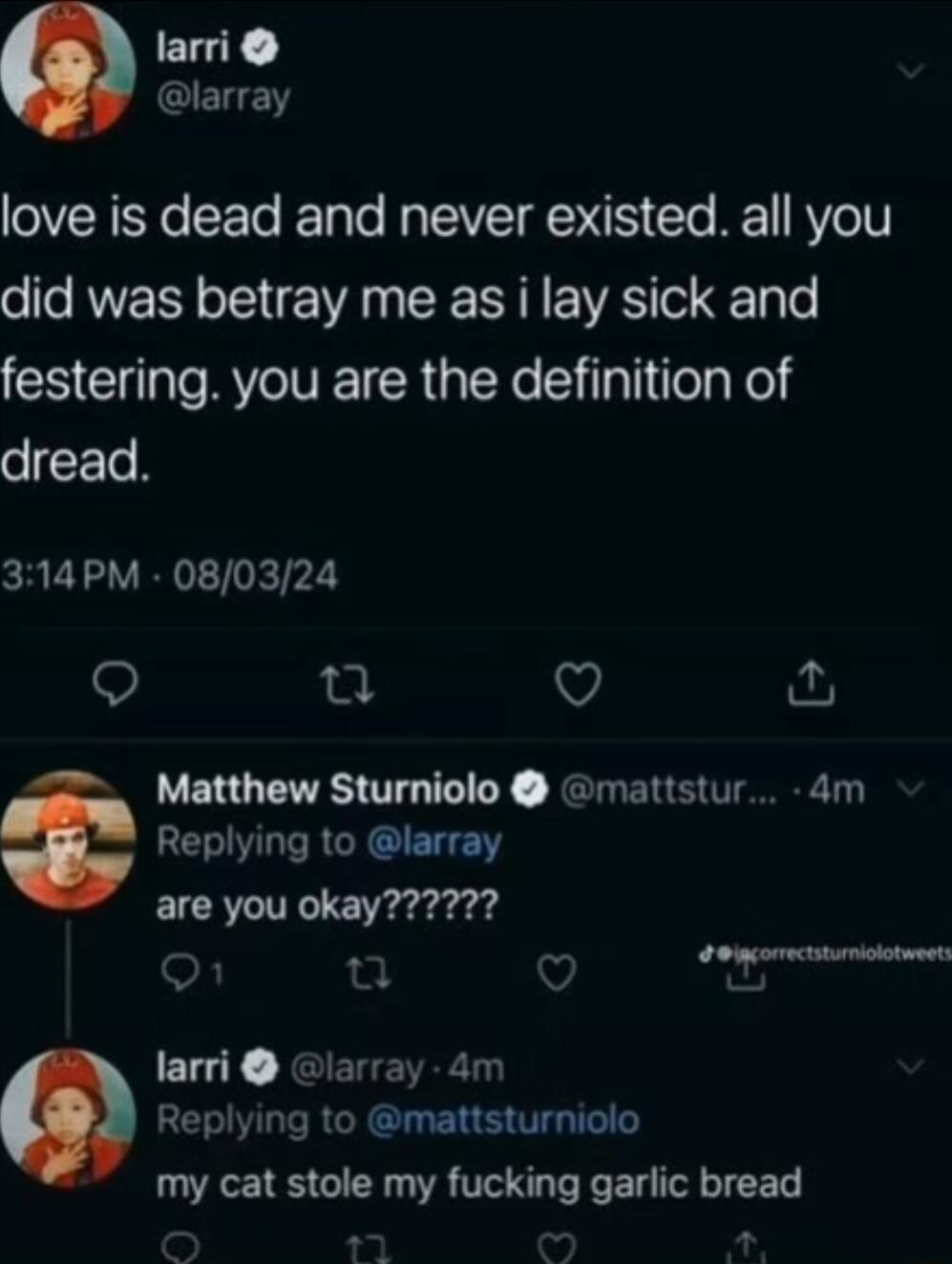 larri larray love is dead and never existed all you ol WV oIS A SRR N E WA o 1 To o CHCI e RYCIVETCR e STl Tela Yol dread 314PM 080324 Q 0 V Matthew Sturniolo mattstur 4m LR RGECIE T are you okay7 O e v e larri larray 4m Replying to mattsturniolo my cat stole my fucking garlic bread