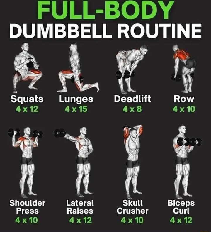 S REse DUMBBELL ROUTINE AW Sqt Lg Ddlft Rw Shoulder Latral Skull Bips Press 3 ETET T N o V11 T1 SR o 11