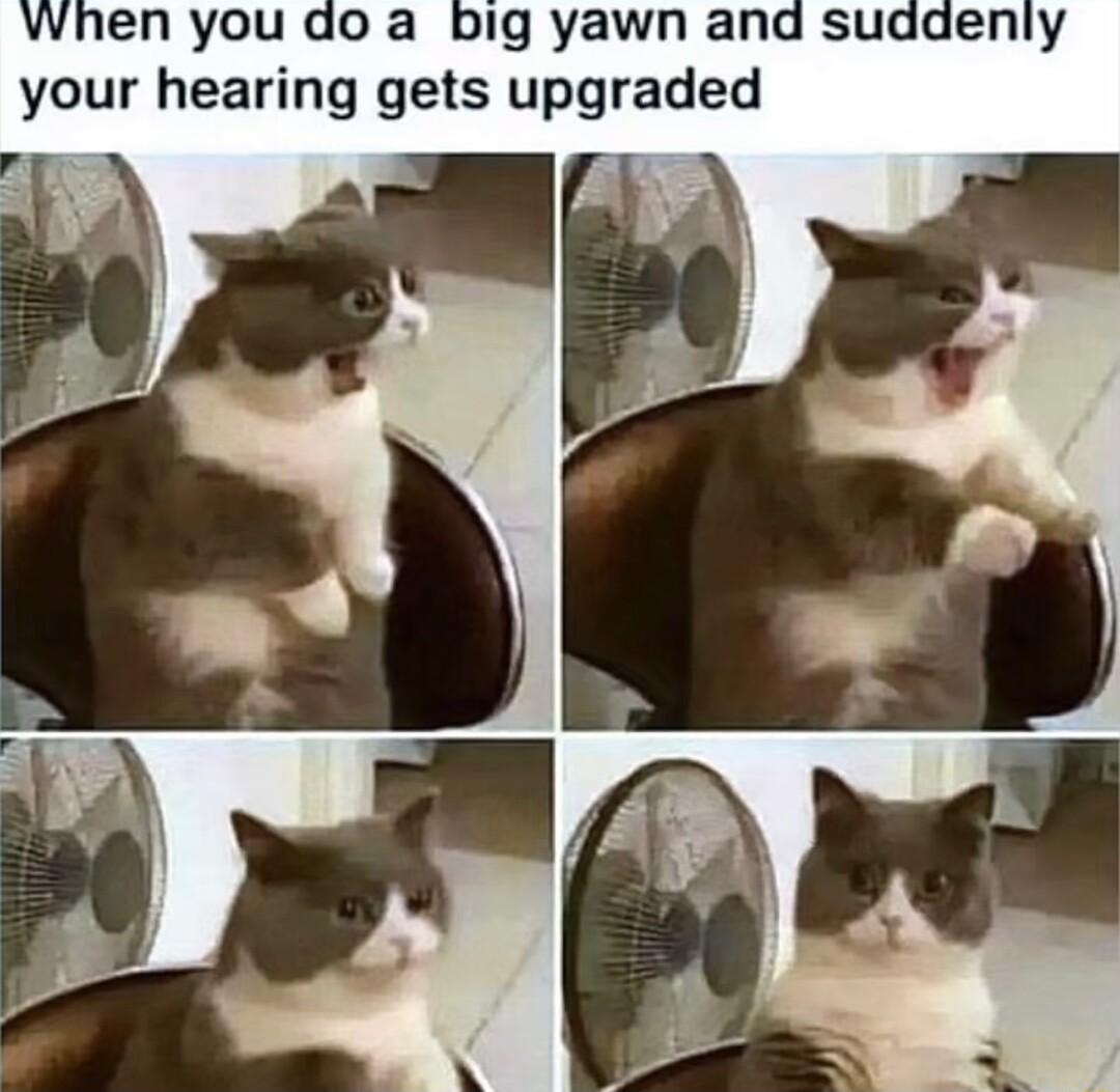 Wwhen you do a big yawn and suddenly your hearing gets upgraded