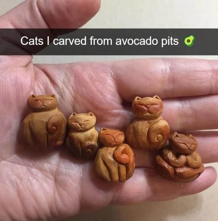 Cats I carved from avocado pits 🥑