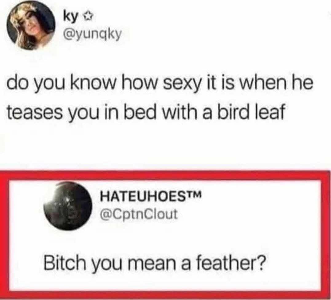 ky yungky do you know how sexy it is when he teases you in bed with a bird leaf HATEUHOES CptnClout Bitch you mean a feather