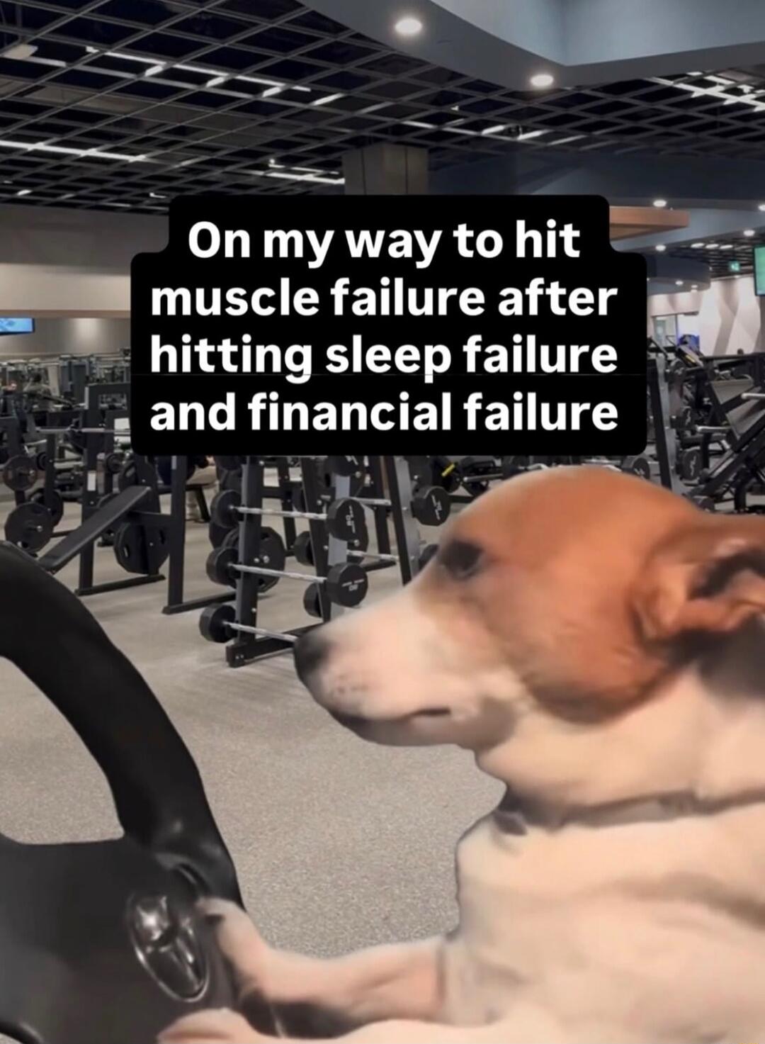 On my way to hit muscle failure after hitting sleep failure and financial failure