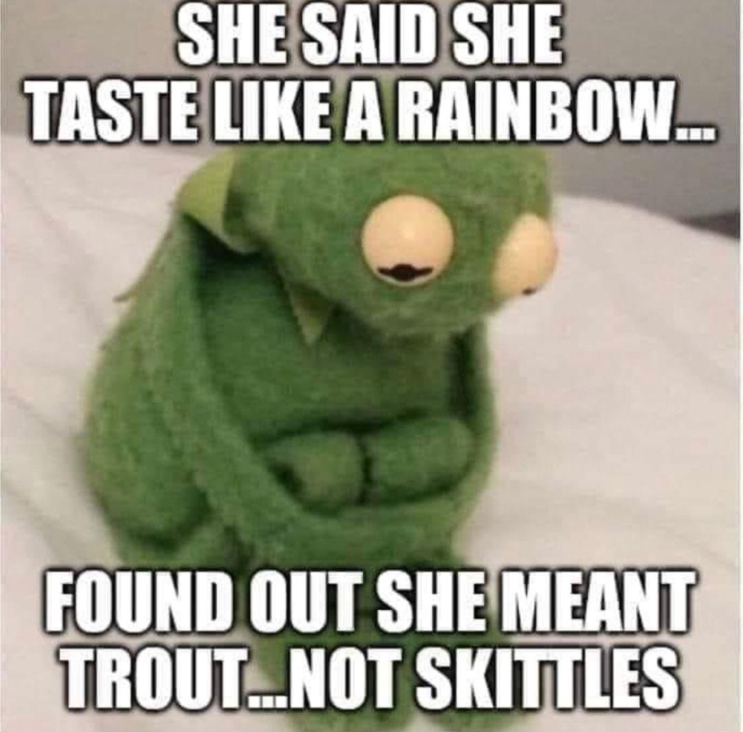 ESLELECGE TS FOUND OUT SHEMEANT TROUT NOT SKITILES