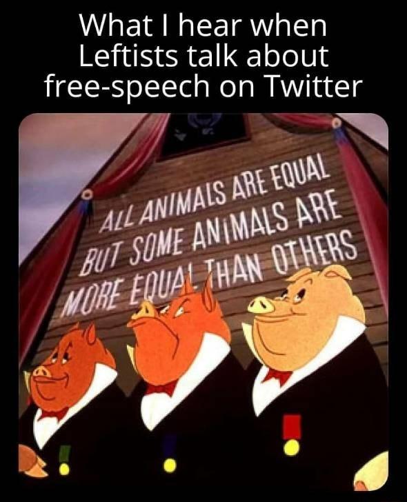 What hear when N oJo0 free speech on Twitter