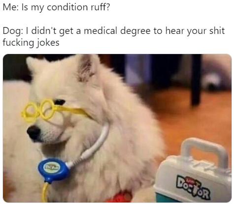 Me Is my condition ruff Dog didnt get a medical degree to hear your shit fucking jokes