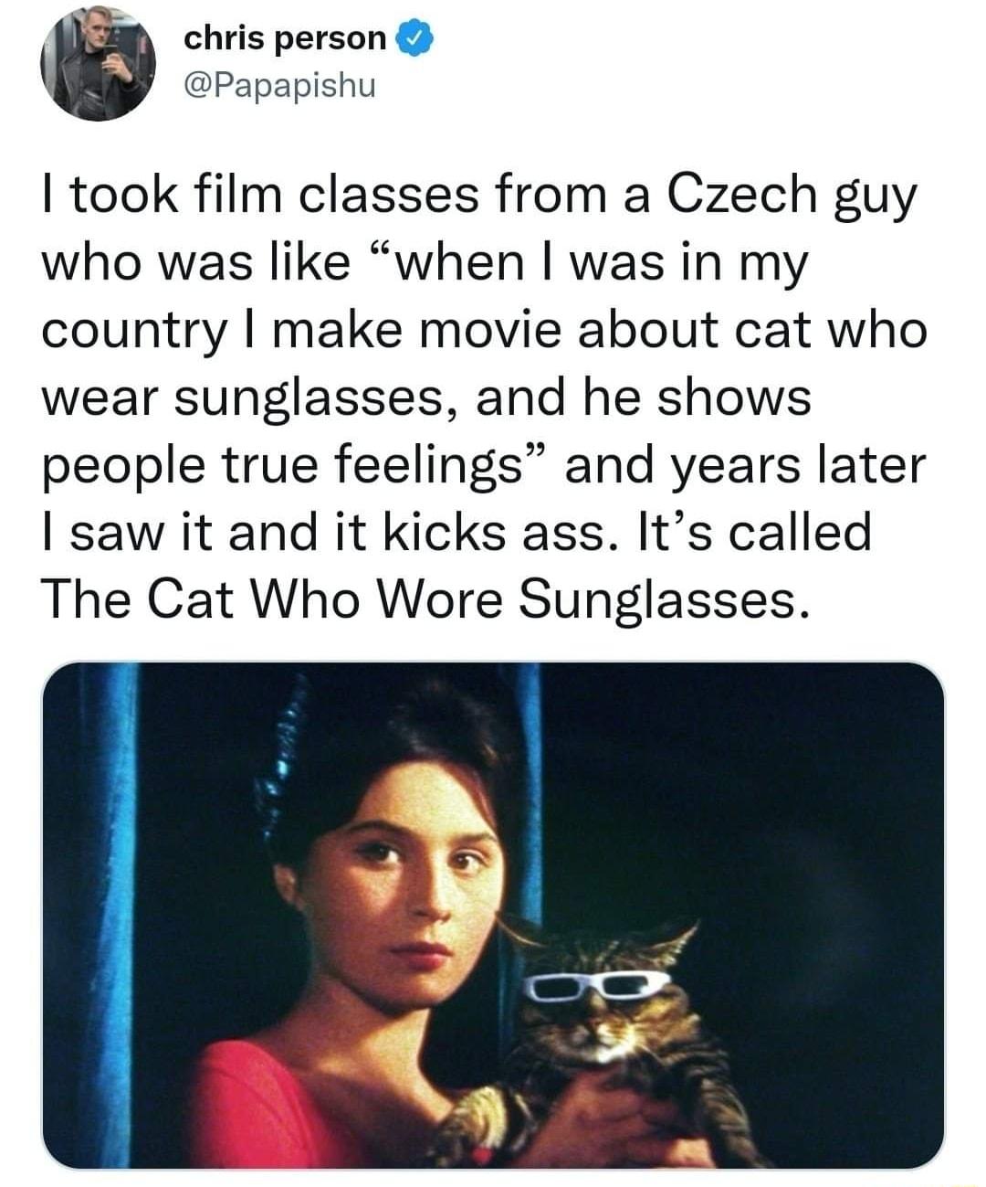 chris person Papapishu took film classes from a Czech guy who was like when was in my country make movie about cat who wear sunglasses and he shows people true feelings and years later saw it and it kicks ass Its called The Cat Who Wore Sunglasses