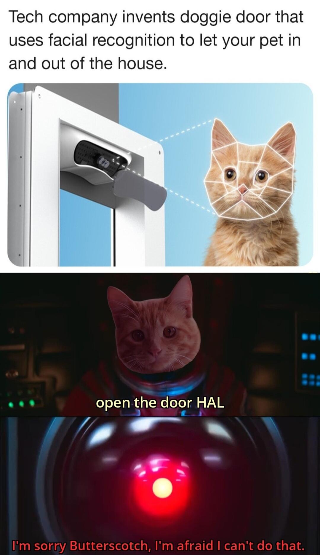 Tech company invents doggie door that uses facial recognition to let your pet in and out of the house