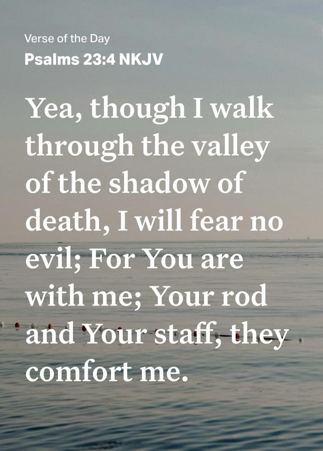 Verse of the Day
Psalms 23:4 NKJV

Yea, though I walk through the valley of the shadow of death, I will fear no evil; For You are with me; Your rod and Your staff, they comfort me.