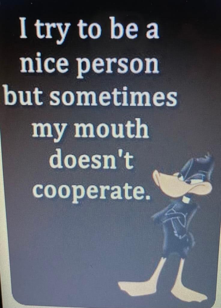 I try to be a nice person but sometimes my mouth doesn't cooperate.