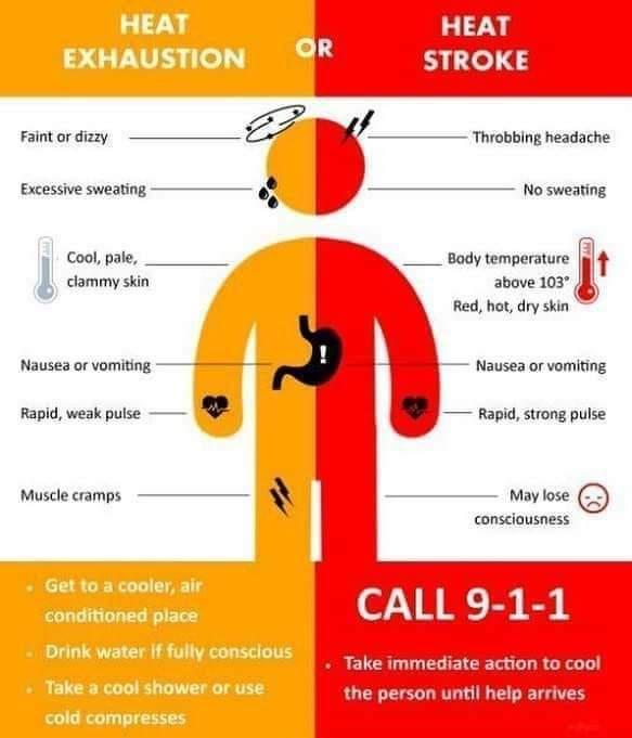 Faint or dizzy Excessive sweating Cool pale L clammy skin Nauses or vomiting Rapid weak puise R0 No sweating ___ Bady temperature 3 t above 103 Red hat dry skin K Throbbing headache T Nausea or vomiting Rapid strong pulse Muscle cramps A v consciousness Take immediate action tc L rson until help arrive