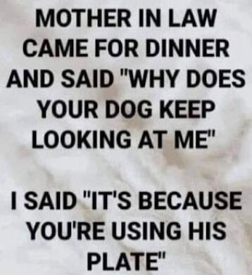 MOTHER IN LAW CAME FOR DINNER AND SAID 