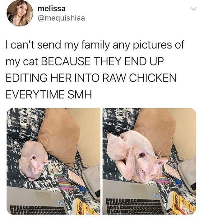 24 melissa Jj mequishiaa cant send my family any pictures of my cat BECAUSE THEY END UP EDITING HER INTO RAW CHICKEN EVERYTIME SMH