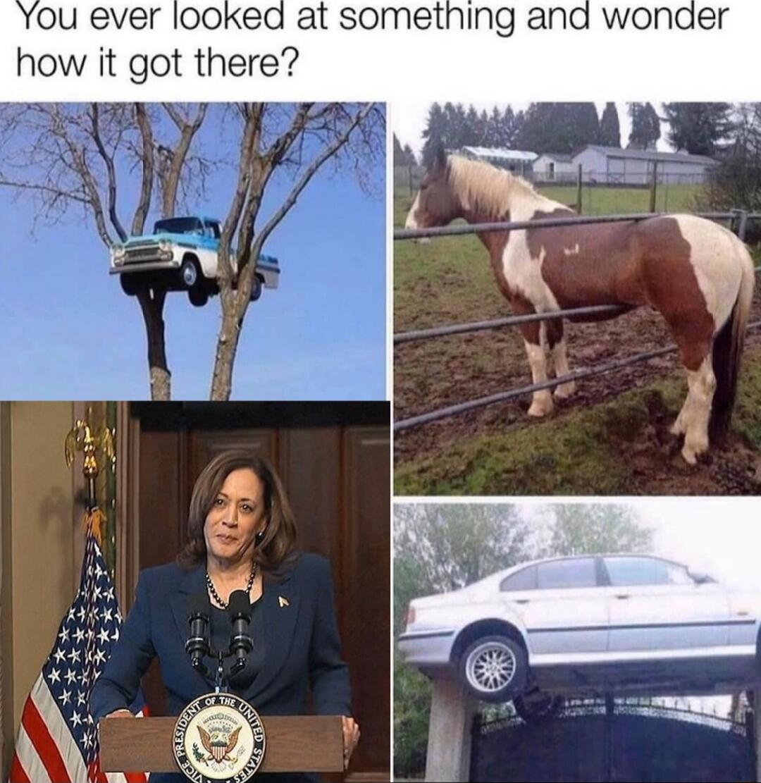 You ever looked at sometning and how it got there