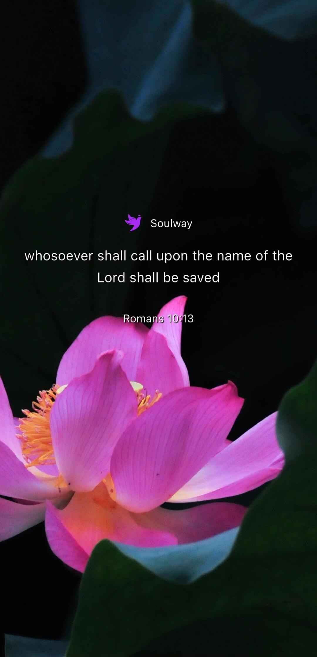 Soulway whosoever shall call upon the name of the Lord shall be saved Romans 10:13
