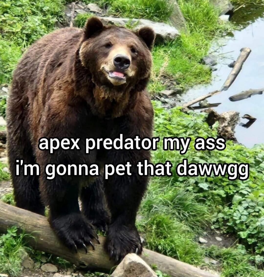 apex predator my ass i'm gonna pet that dawggg