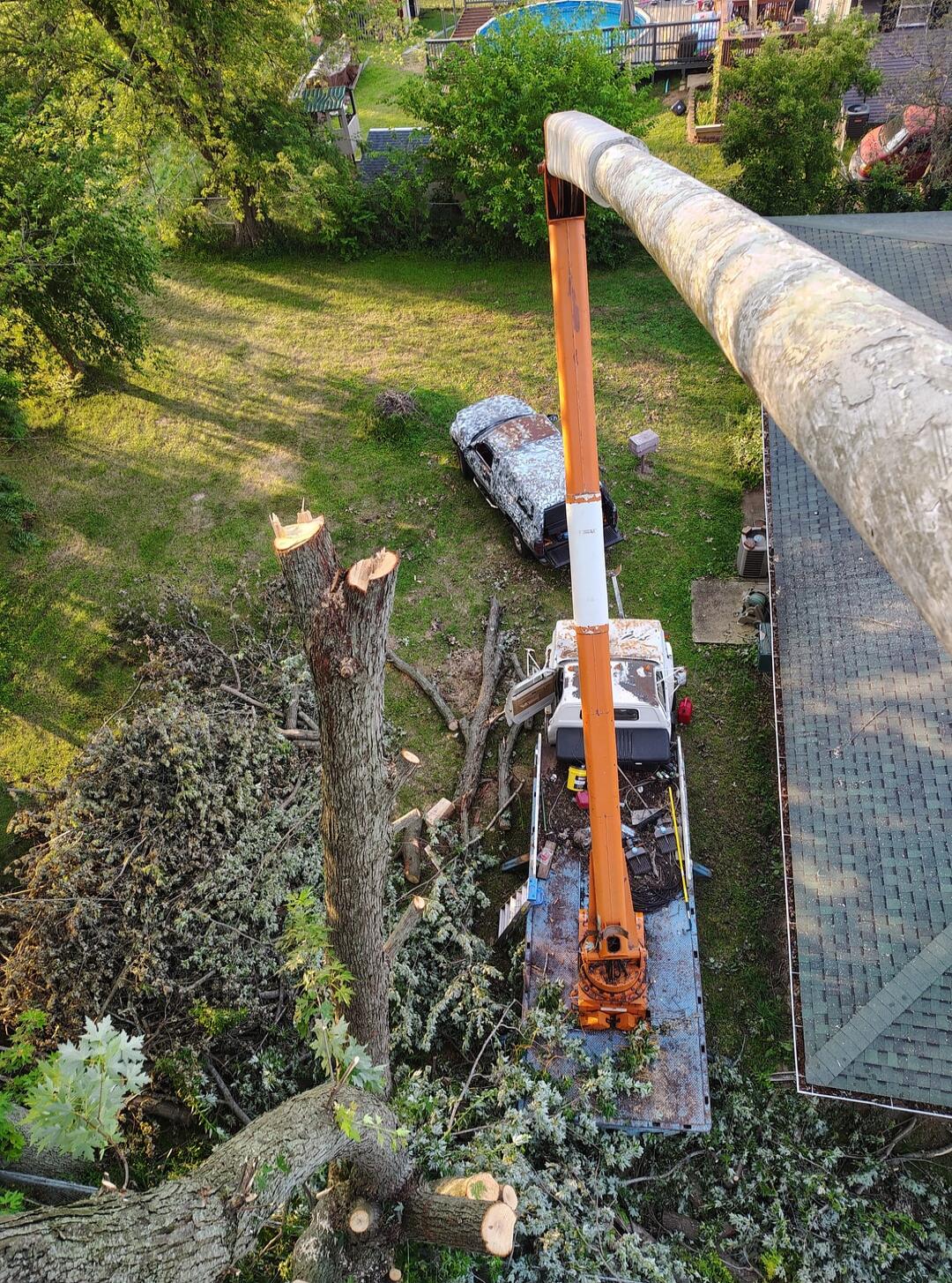 The video shows a tree being cut down with a crane and a truck. The tree is large and has many branches. The crane is used to lift the branches and the truck is used to haul them away. The video also shows a car that has been covered in camouflage. It is unclear why the car is covered in camouflage.