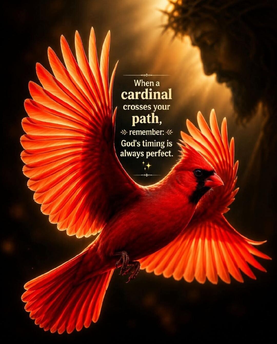 When a cardinal crosses your path, remember: God's timing is always perfect.