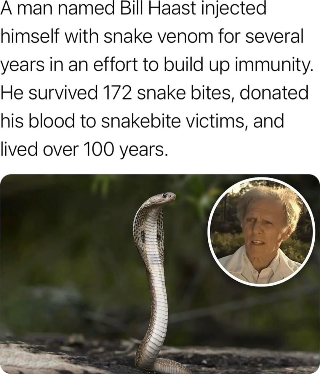 A man named Bill Haast injected himself with snake venom for several years in an effort to build up immunity He survived 172 snake bites donated his blood to snakebite victims and lived over 100 years