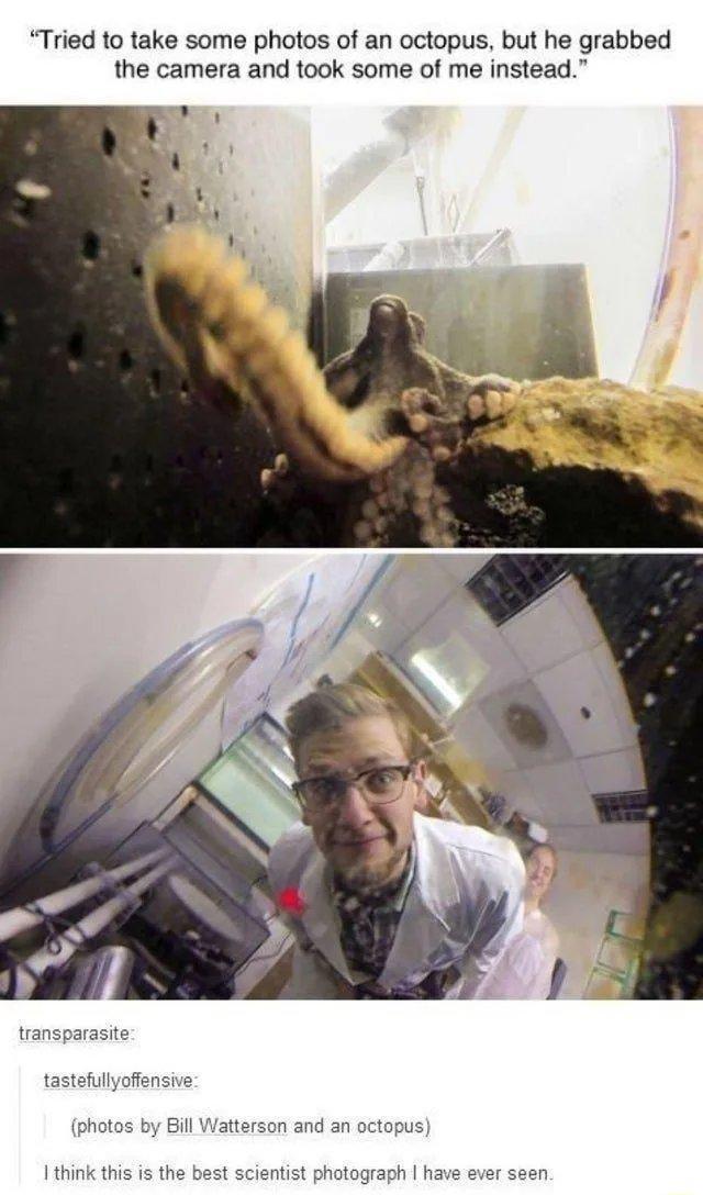 Tried to take some photos of an octopus but he grabbed the camera and took some of me instead transparasite tastefullyofiensive