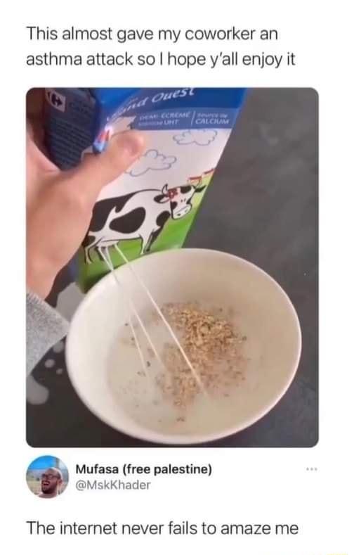 This almost gave my coworker an asthma attack so hope yall enjoy it Mufasa free palestine P MskKhader The internet never fails to amaze me