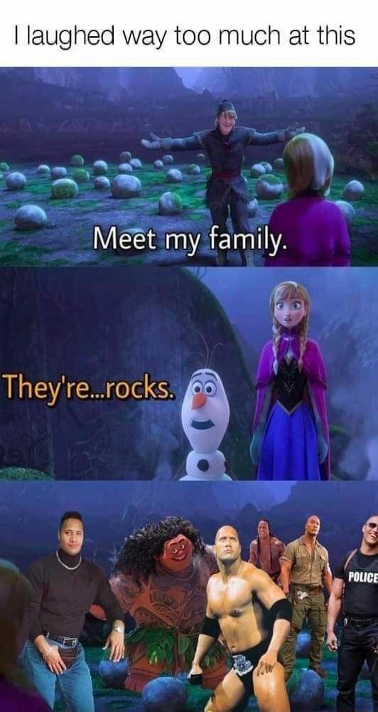 I laughed way too much at this
Meet my family.
They're...rocks.