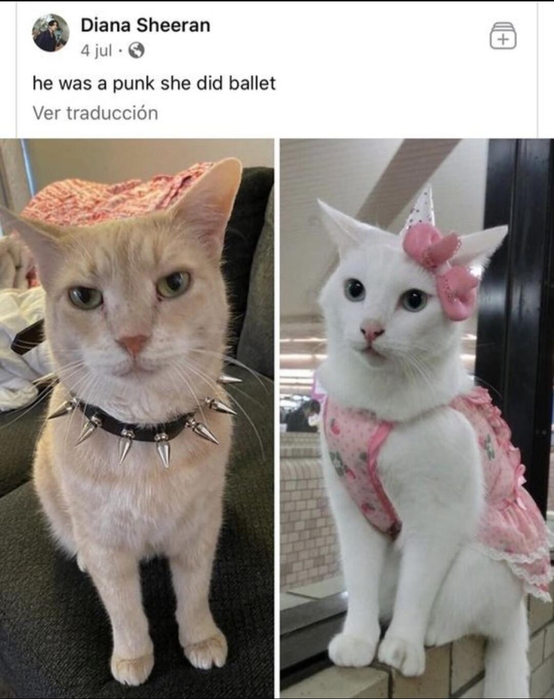 Diana Sheeran he was a punk she did ballet