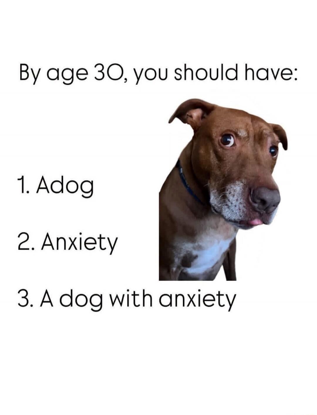 By age 30, you should have: 1. A dog 2. Anxiety 3. A dog with anxiety