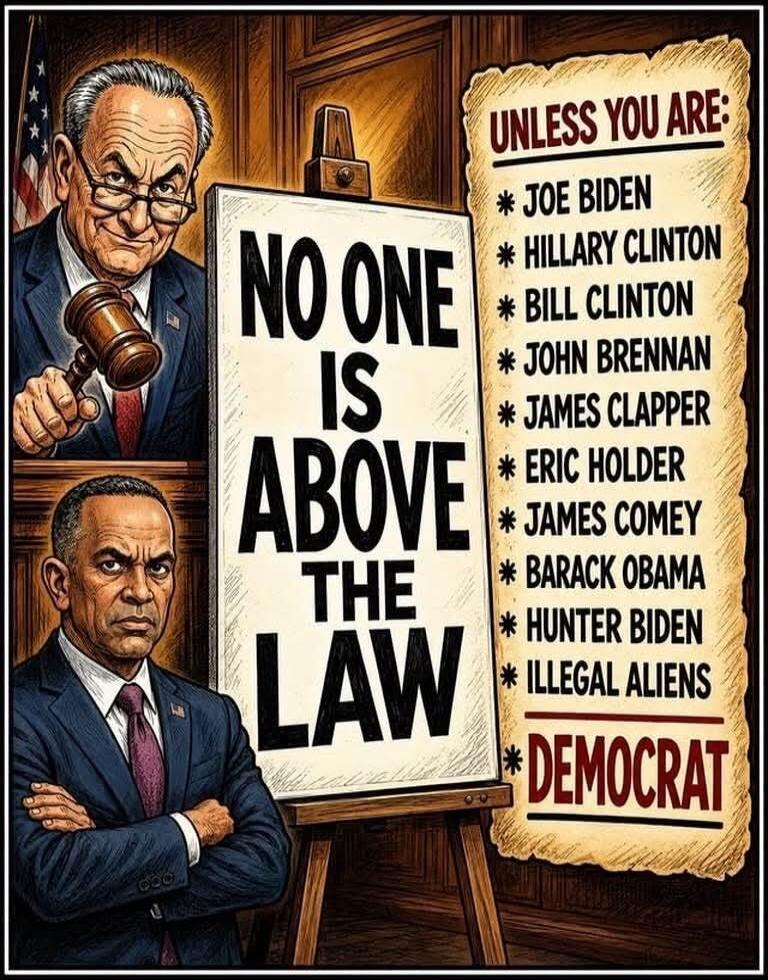 NO ONE IS ABOVE THE LAW UNLESS YOU ARE: JOE BIDEN HILLARY CLINTON BILL CLINTON JOHN BRENNAN JAMES CLAPPER ERIC HOLDER JAMES COMEY BARACK OBAMA HUNTER BIDEN ILLEGAL ALIENS DEMOCRAT