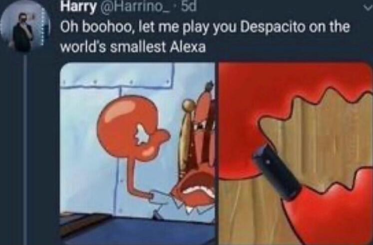 Harry oanmn n Oh boohoo let me play you Despacito on the worlds smallest Alexa