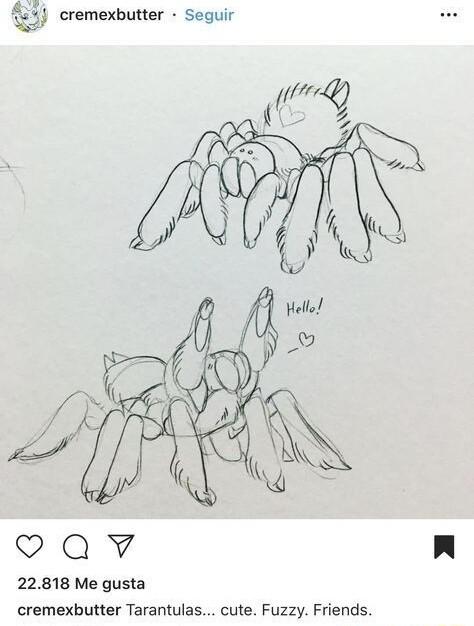 82 cremexbutter Sequir Qv 22818 Me gusta cremexbutter Tarantulas cute Fuzzy Friends
