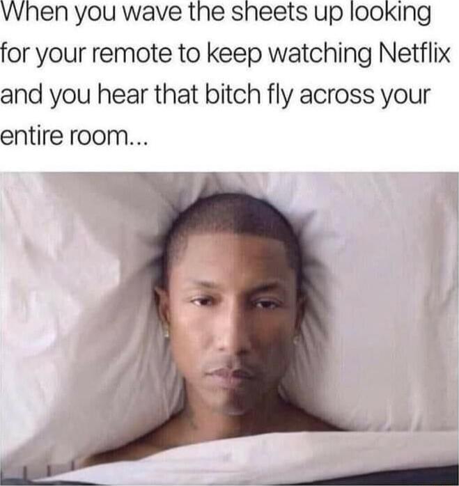 VWhen you wave the sheets up looking for your remote to keep watching Netflix and you hear that bitch fly across your entire room