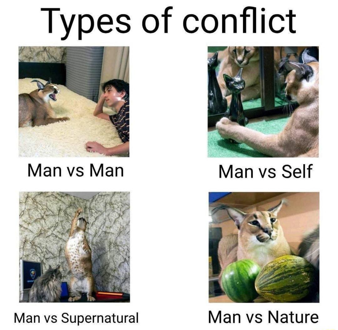 Types of conflict Man vs Man Man vs Supernatural Man vs Nature