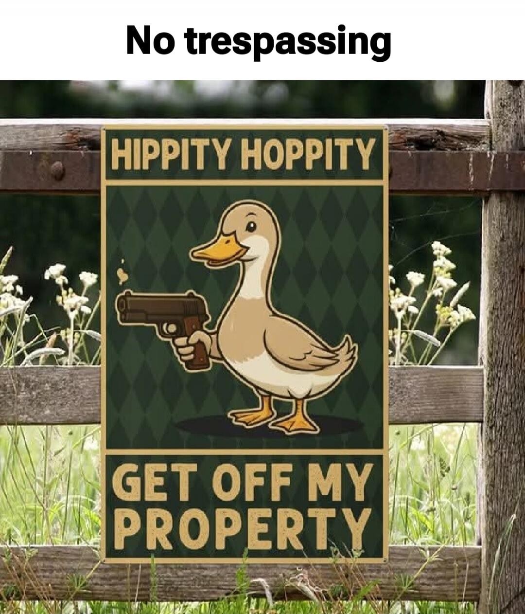 No trespassing
HIPPITY HOPPITY
GET OFF MY PROPERTY