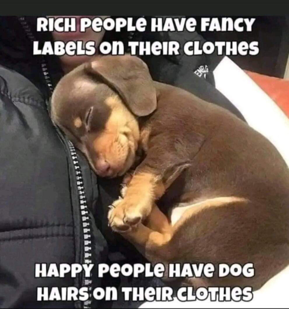 RICH PEOPLE HAVE FANCY LABELS ON THEIR CLOTHES. HAPPY PEOPLE HAVE DOG HAIRS ON THEIR CLOTHES.