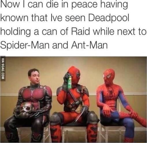 die In peace having known that Ive seen Deadpool holding a can of Raid while next to Spider Man and Ant Man