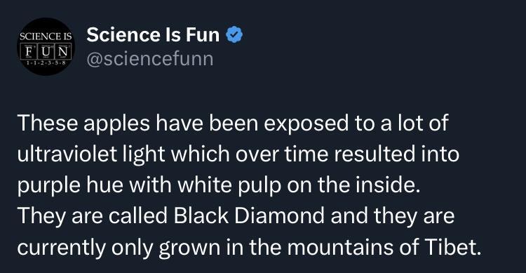 samces Science Is Fun FIZIY sciencefunn These apples have been exposed to a lot of ultraviolet light which over time resulted into purple hue with white pulp on the inside They are called Black Diamond and they are currently only grown in the mountains of Tibet