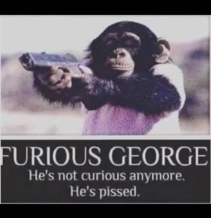 FURIOUS GEORGE He's not curious anymore. He's pissed.
