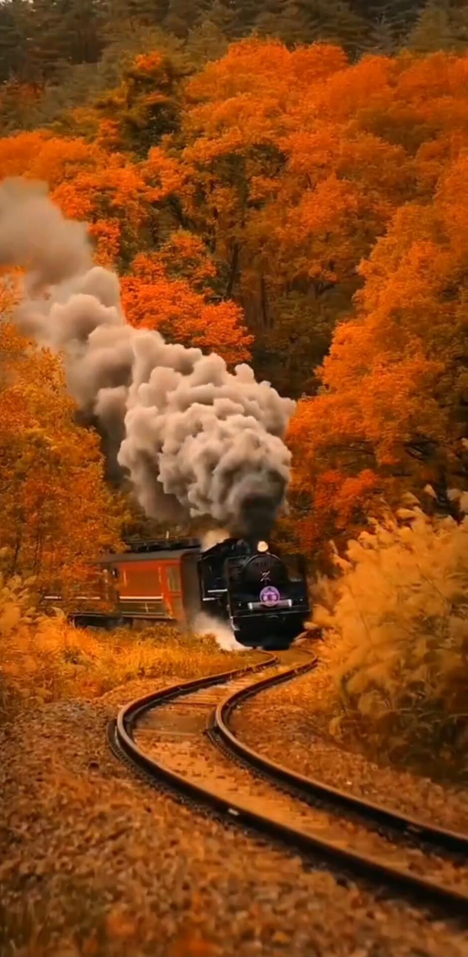 A steam locomotive winds along a curved railway track through a forest of vibrant orange autumn trees, with a large plume of steam billowing behind the train.
