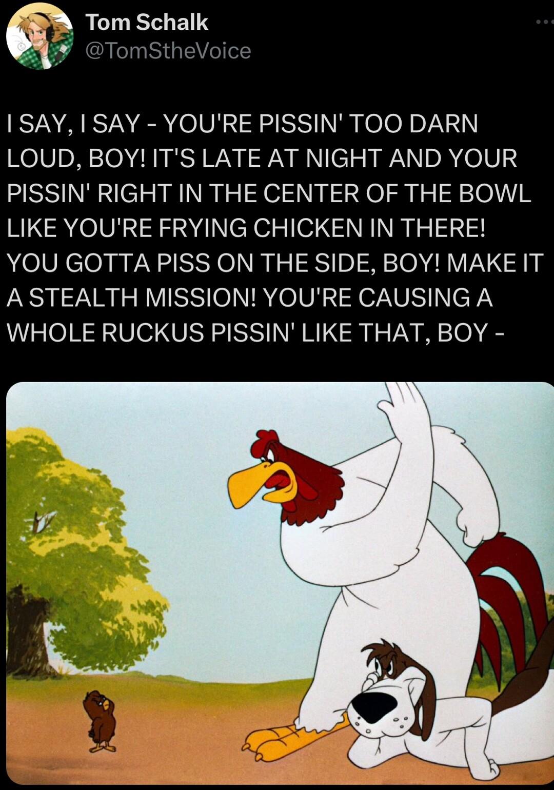 Tom Schalk I SAY I SAY YOURE PISSIN TOO DARN LOUD BOYITS LATE AT NIGHT AND YOUR PISSIN RIGHT IN THE CENTER OF THE BOWL LIKE YOURE FRYING CHICKEN IN THERE YOU GOTTA PISS ON THE SIDE BOY MAKE IT A STEALTH MISSION YOURE CAUSING A WHOLE RUCKUS PISSIN LIKE THAT BOY